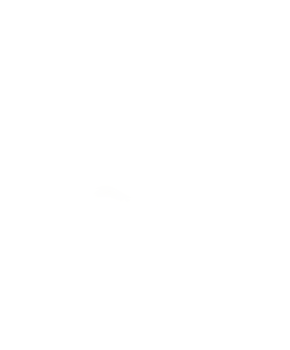 picto boutique en ligne
